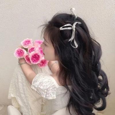 吸血莱恩2:解放